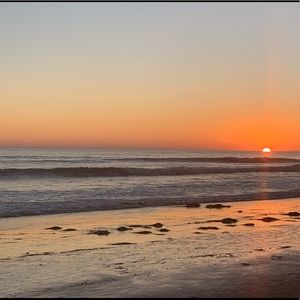 Meet your Posher, Layla